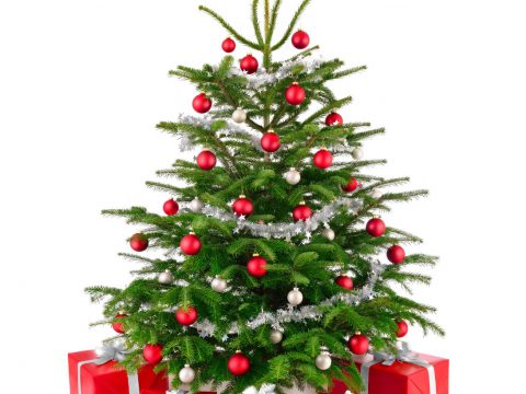 Tannenbaum