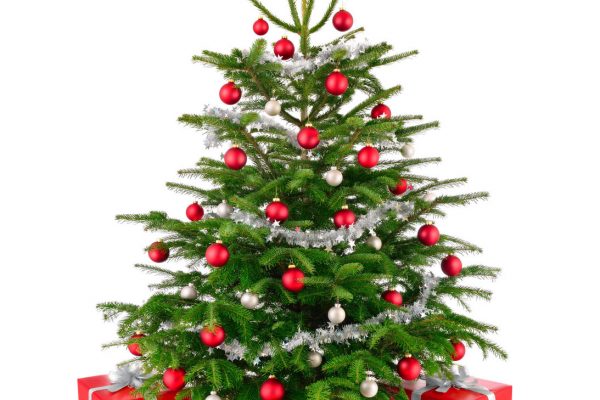 Tannenbaum